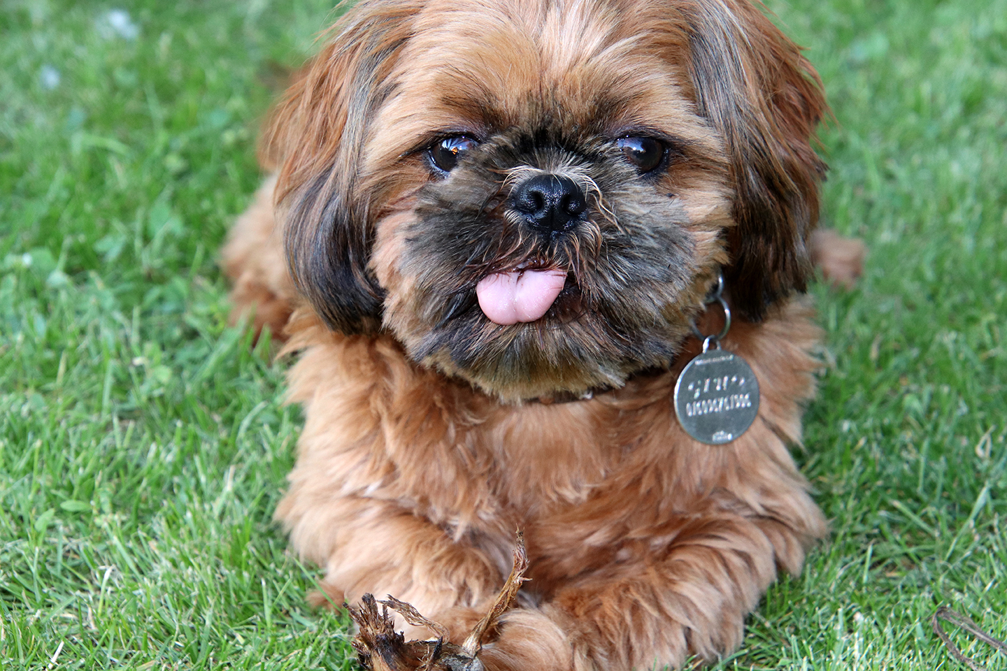 IMG_0378_1440x960