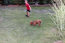 IMG_0433_1440x960