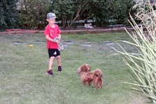 IMG_0434_1440x960